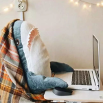 网红小鲨鱼,海洋奇遇记